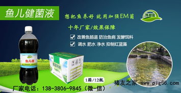 豫启富鱼儿健养鱼em菌专用类产品十年厂家联系电话